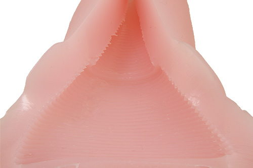 ボクのおなぺっと